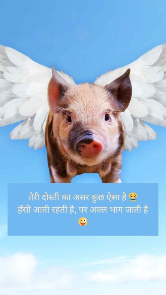 [2 Line] 554+ Funny Shayari 😂For Best Friend