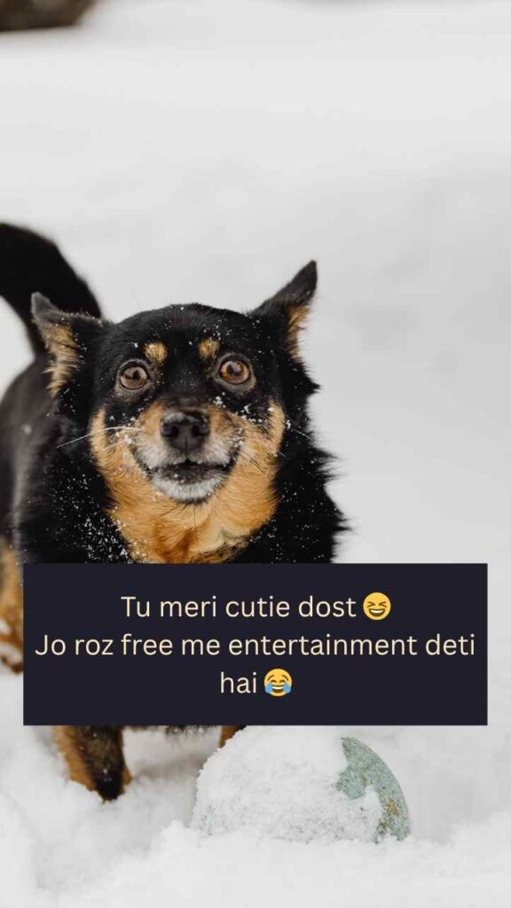 [2 Line] 554+ Funny Shayari 😂For Best Friend