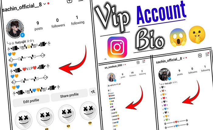 instagram vip bio