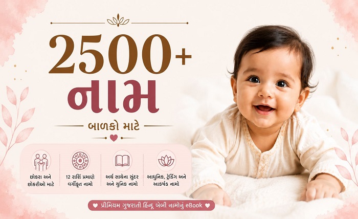 gujarati attitude shayari