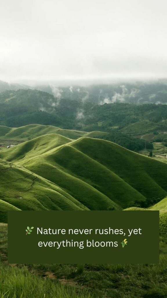 Nature Shayari In English | 2 Line