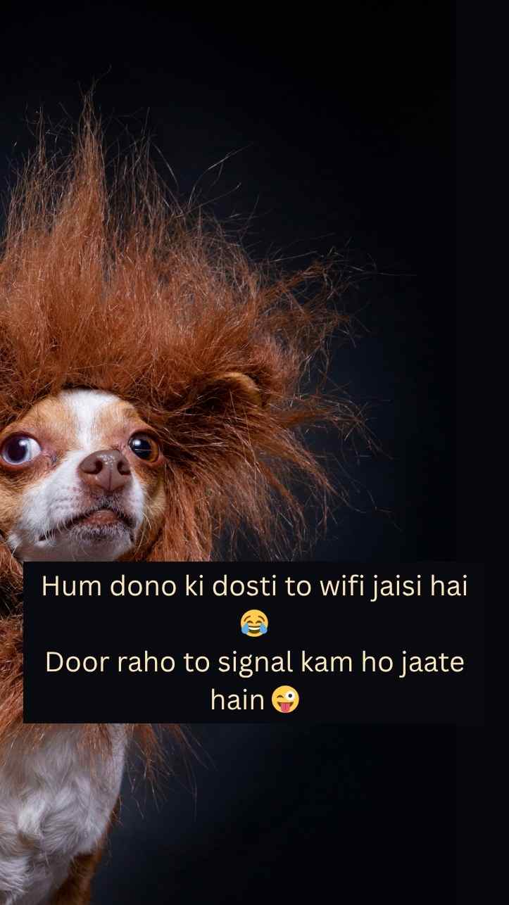 [2 Line] 554+ Funny Shayari 😂For Best Friend